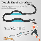 Canine Waist Pack - Ultimate Dog Walking Accessory